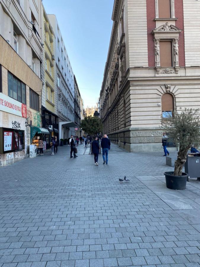 Cika Ljuba Appartement Belgrado Buitenkant foto